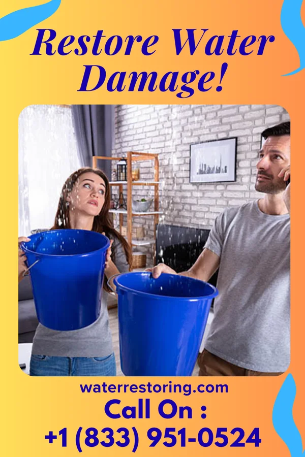 water restoration National Water Mitigation LLC Chesapeake Beach