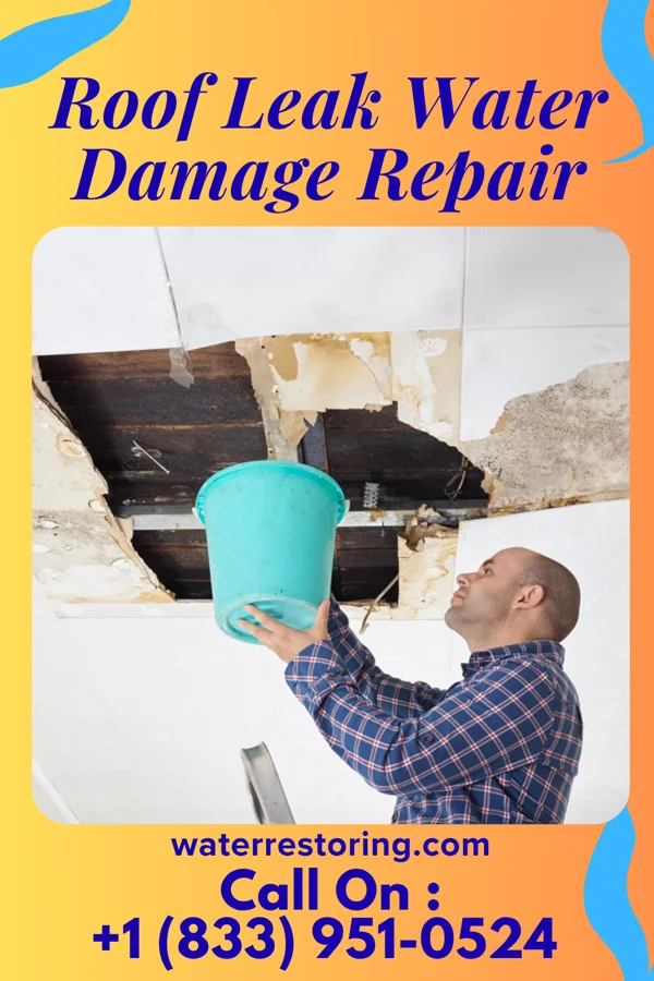 Roof Leak Water Damage Repair in Chesapeake Beach, MD