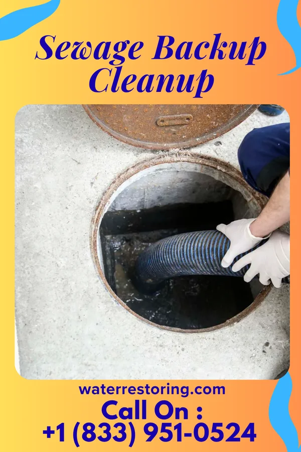 Sewage Backup Cleanup in Chesapeake Beach, MD