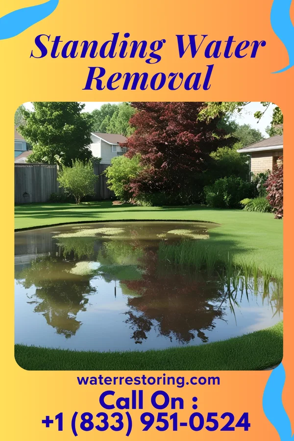 Standing Water Removal in Chesapeake Beach, MD